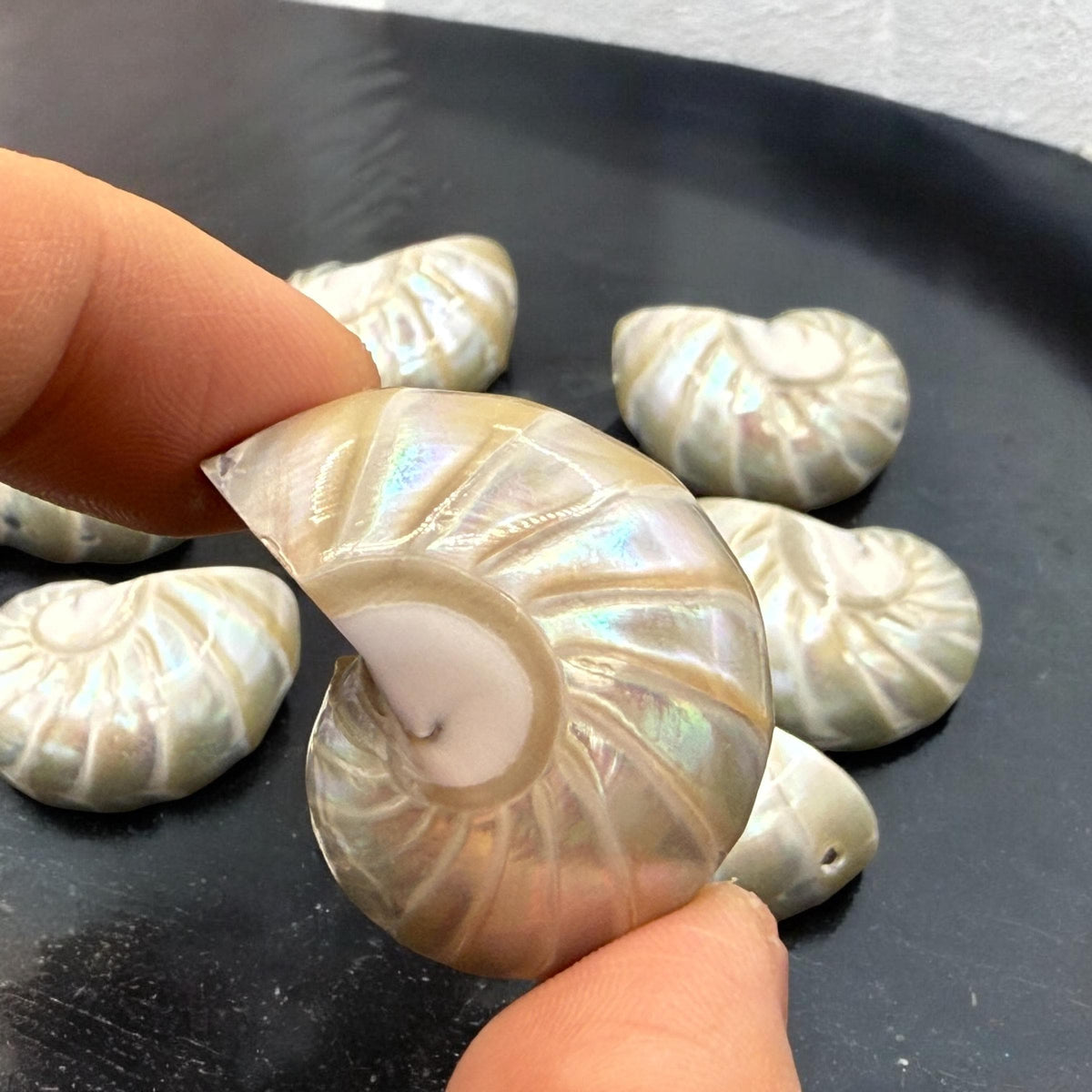 Real Mermaid Nautilus Pendant AAA (Thick Nacre - Iridescent Flash) Never Dyed or Color Enhanced - Mirror Polish 35mm (1 Piece)