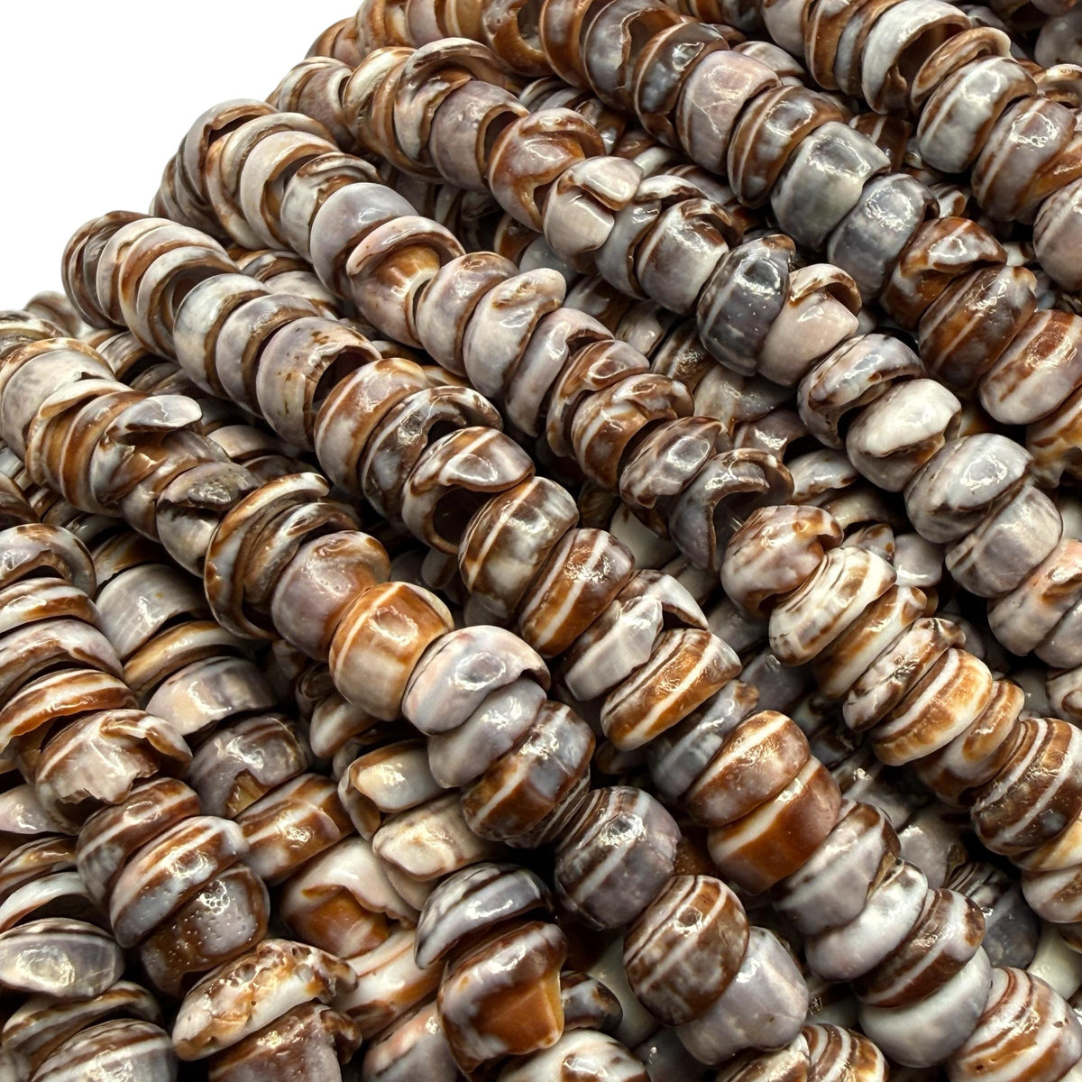 Smoky Violet PUKA Shell - Premium Cup Shape - Minimal Bottom Cracks - Naturally Formed Holes- Small Batch Production - Never Dyed or Treated