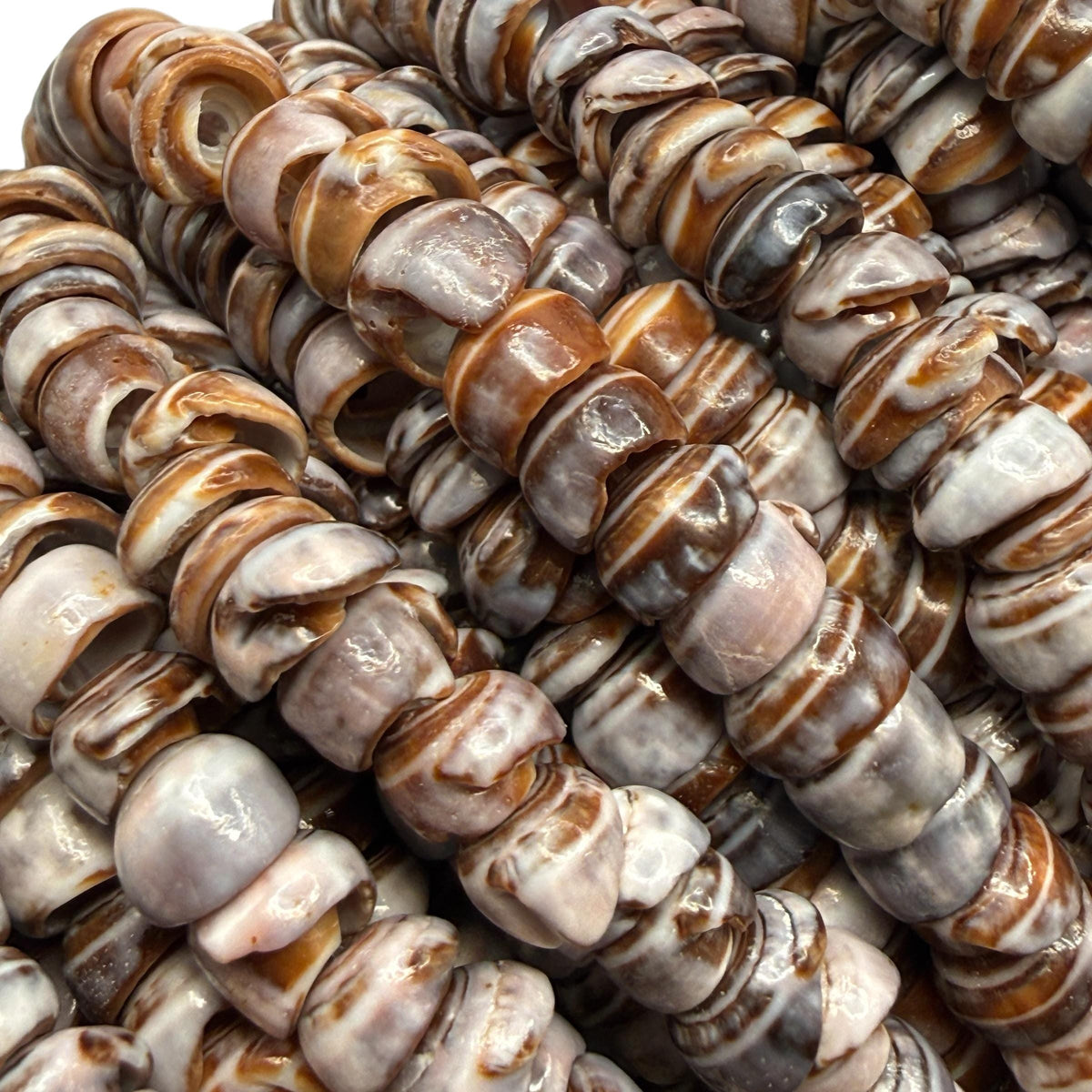 Smoky Violet PUKA Shell - Premium Cup Shape - Minimal Bottom Cracks - Naturally Formed Holes- Small Batch Production - Never Dyed or Treated