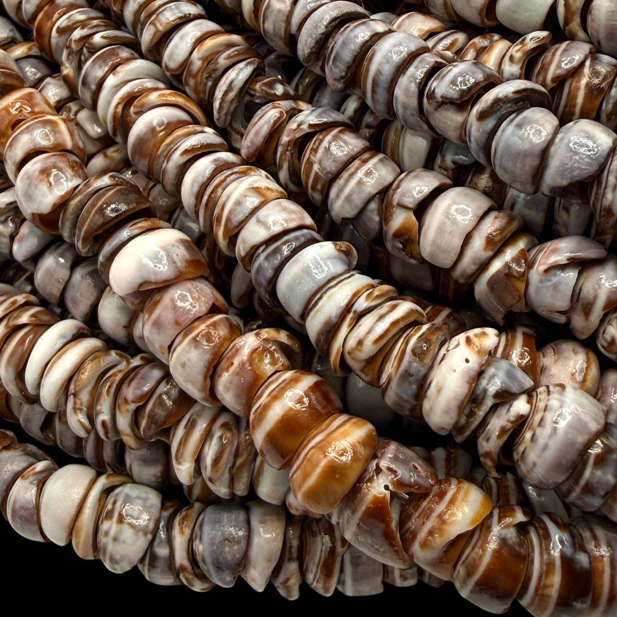 Smoky Violet PUKA Shell - Premium Cup Shape - Minimal Bottom Cracks - Naturally Formed Holes- Small Batch Production - Never Dyed or Treated