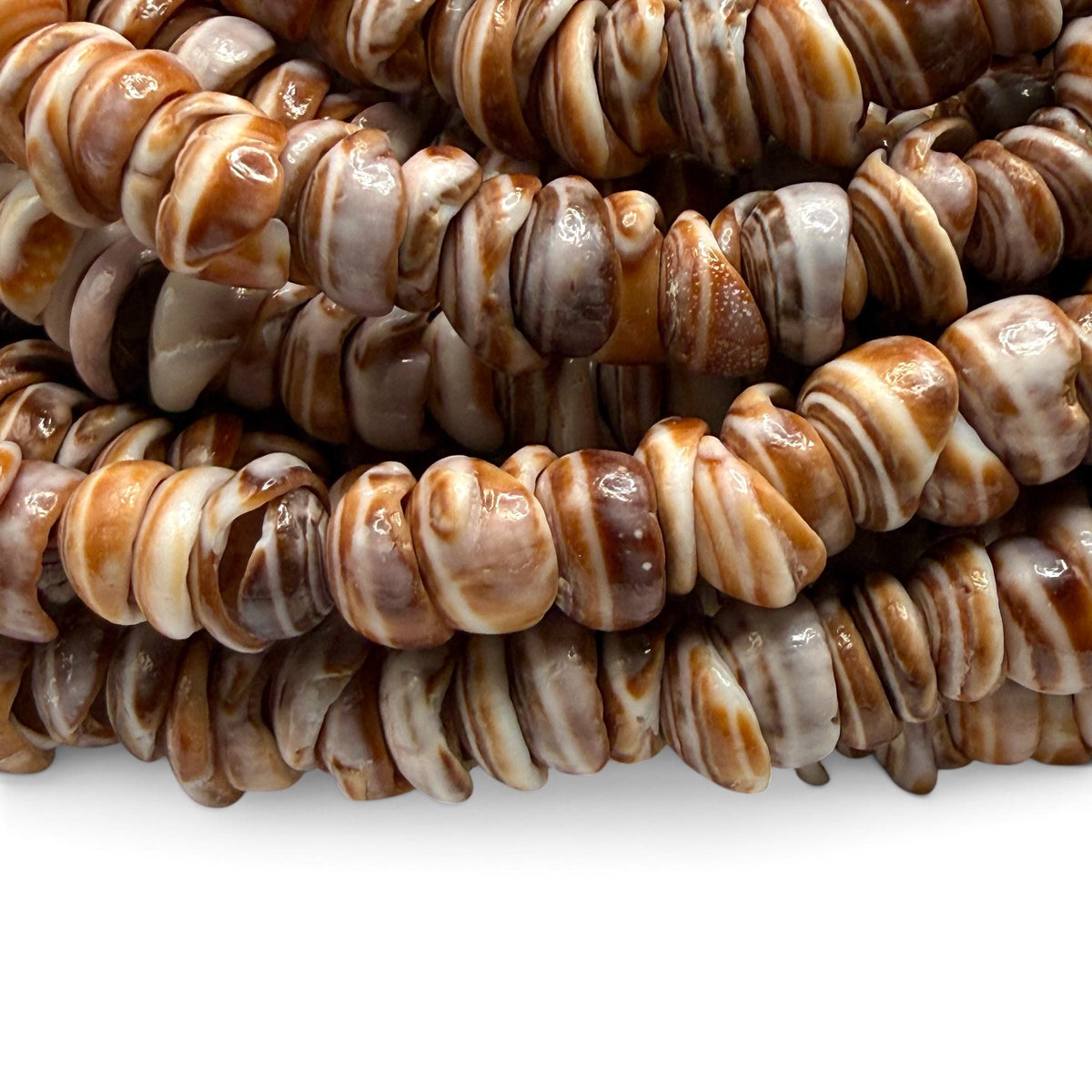 Champagne PUKA Shell - Premium Cup Shape - Minimal Bottom Cracks - Naturally Formed Holes- Small Batch Production - Never Dyed or Treated