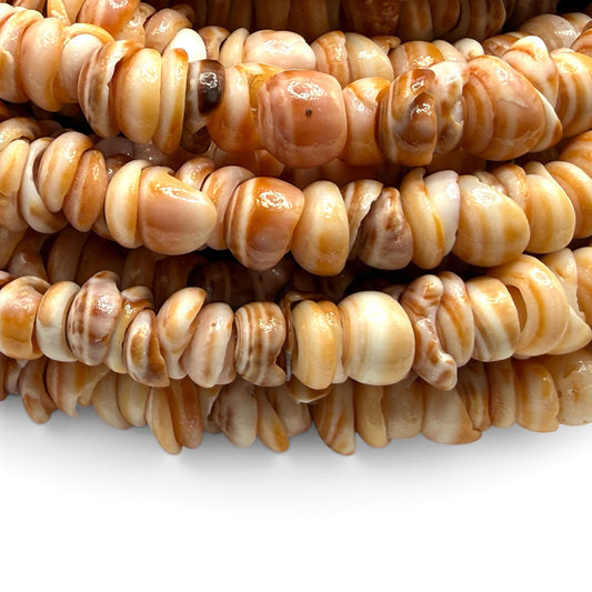 Sunset PUKA Shell - Premium Cup Shape - Minimal Bottom Cracks- Naturally Formed Holes- Small Batch Production - Never Dyed or Color Enhanced