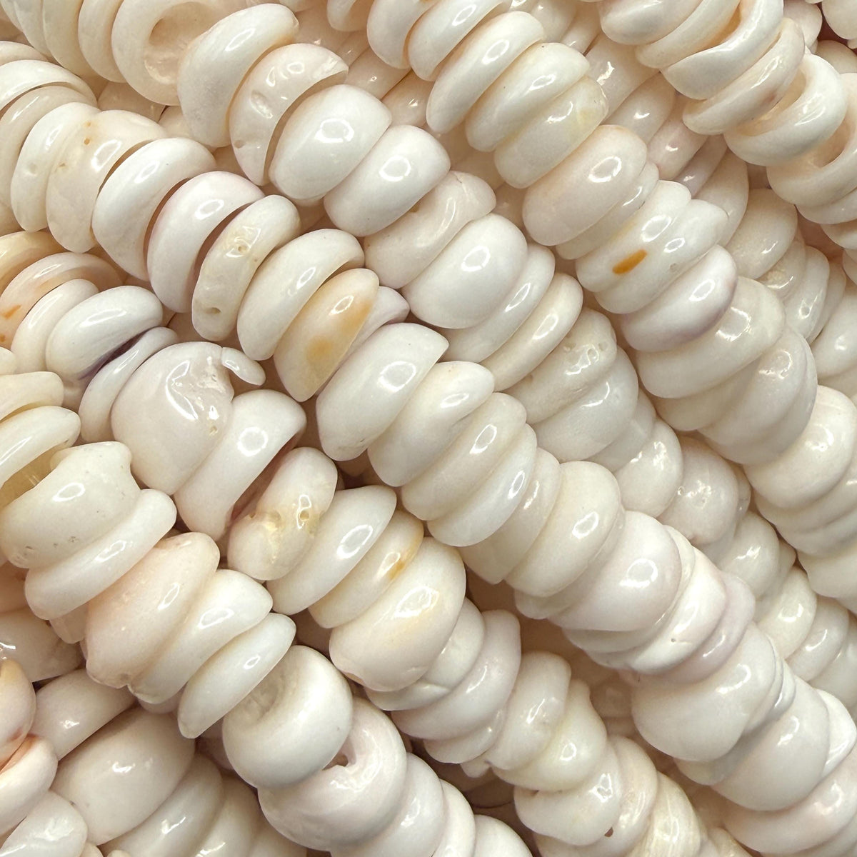 White PUKA Shell - Premium Cup Shape - Minimal Bottom Cracks - Naturally Formed Holes- Small Batch Production - Never Dyed or Color Enhanced