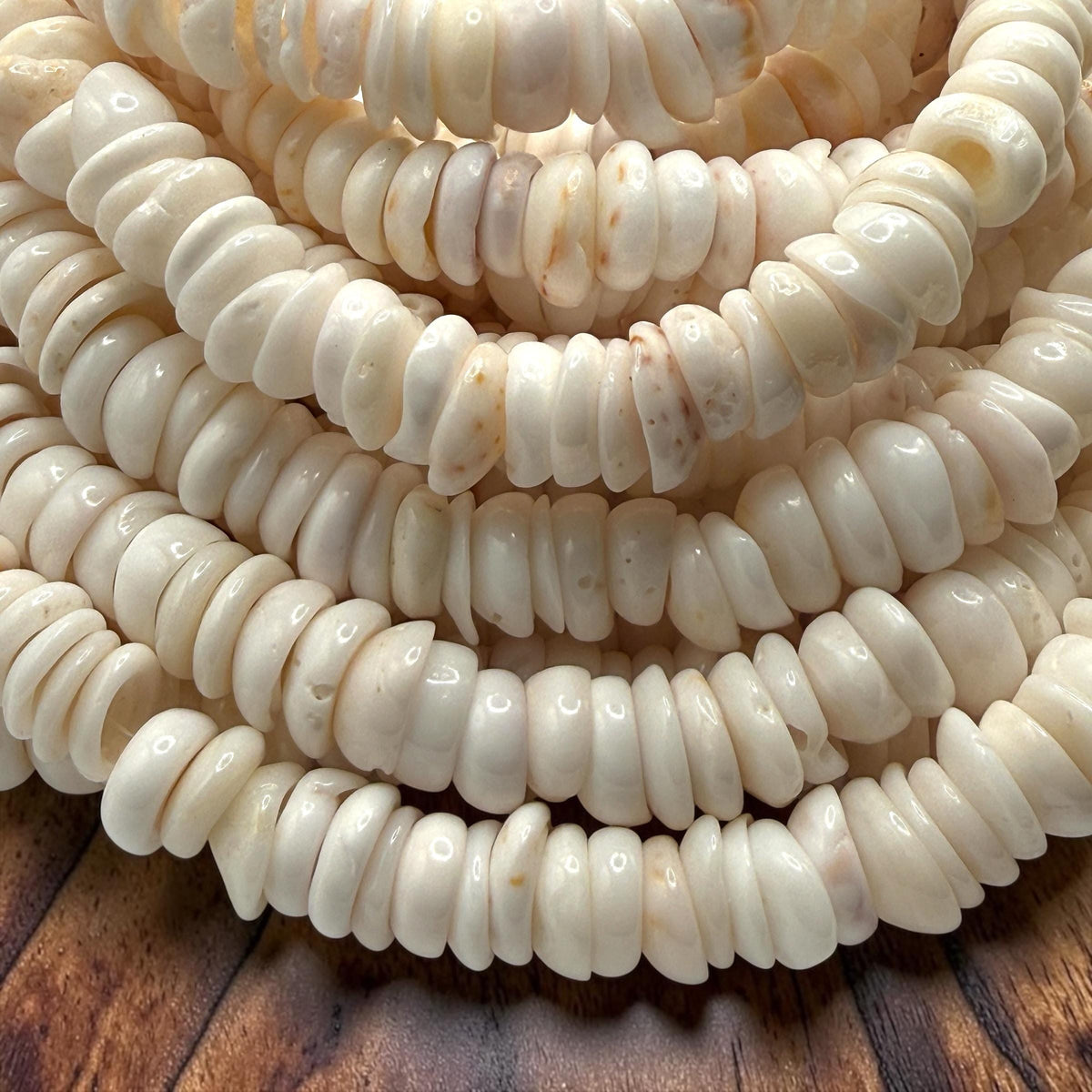 White PUKA Shell - Premium Cup Shape - Minimal Bottom Cracks - Naturally Formed Holes- Small Batch Production - Never Dyed or Color Enhanced