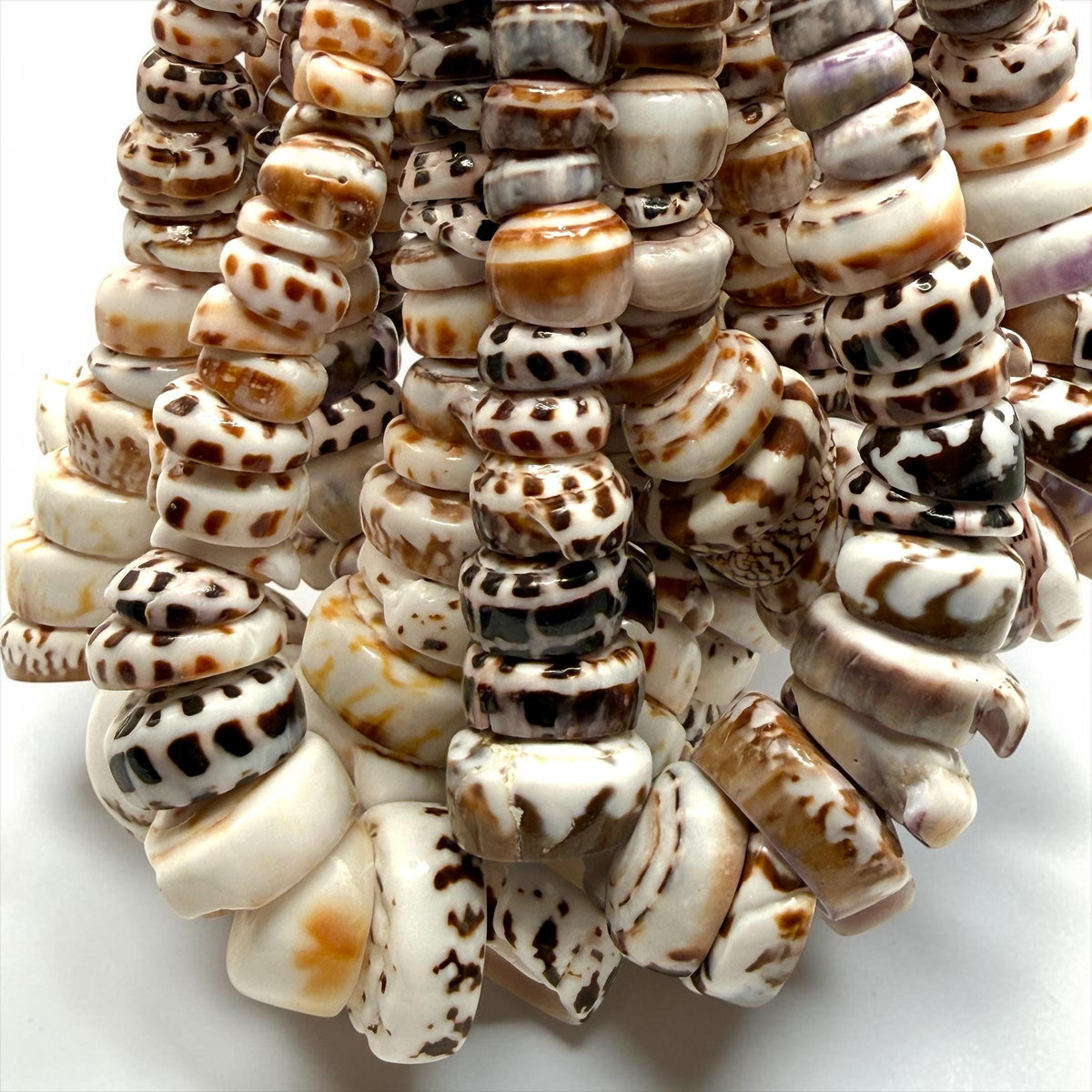 XL GRADUATED Tiger Ivory Puka Shell- Premium Cup Shape- Minimal Bottom Cracks- Naturally Formed Holes- Small Batch Production- 6-30mm (E501)