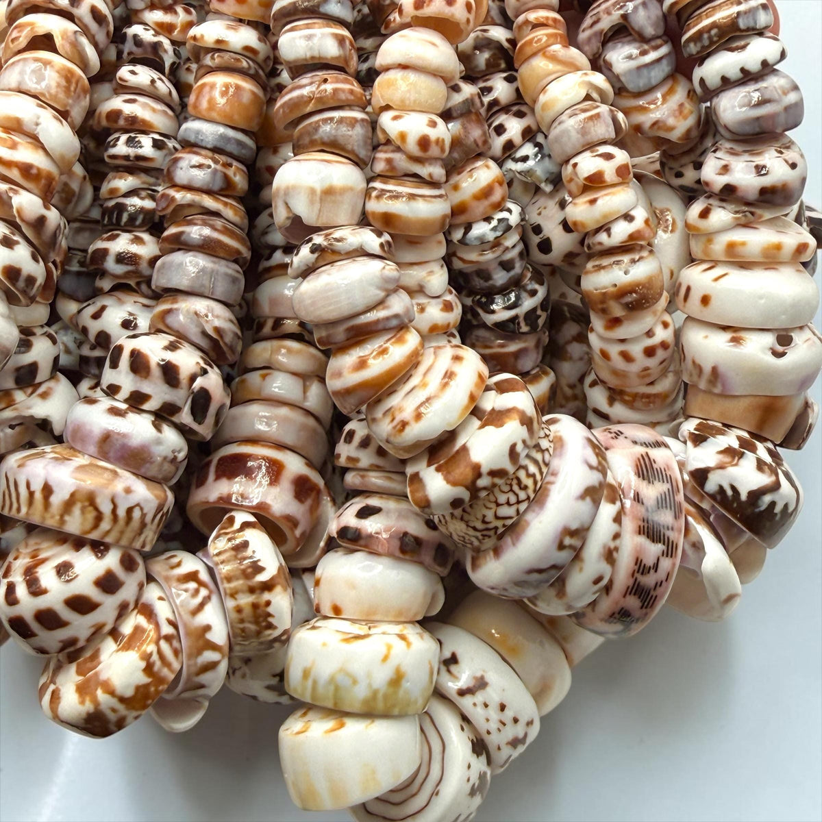 XL GRADUATED Tiger Ivory Puka Shell- Premium Cup Shape- Minimal Bottom Cracks- Naturally Formed Holes- Small Batch Production- 6-30mm (E501)