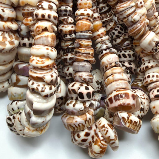 XL GRADUATED Tiger Ivory Puka Shell- Premium Cup Shape- Minimal Bottom Cracks- Naturally Formed Holes- Small Batch Production- 6-30mm (E501)