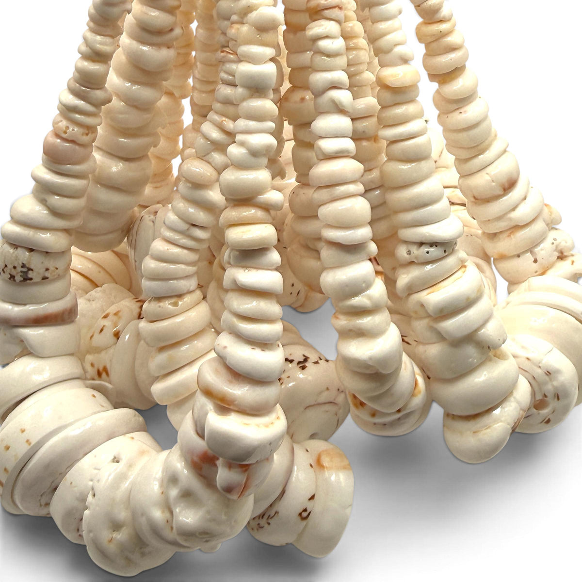 XL Graduated White Puka Shell- Premium Cup Shape- Minimal Bottom Cracks- Naturally Formed Holes- Small Batch Production- 6-30mm (E503)