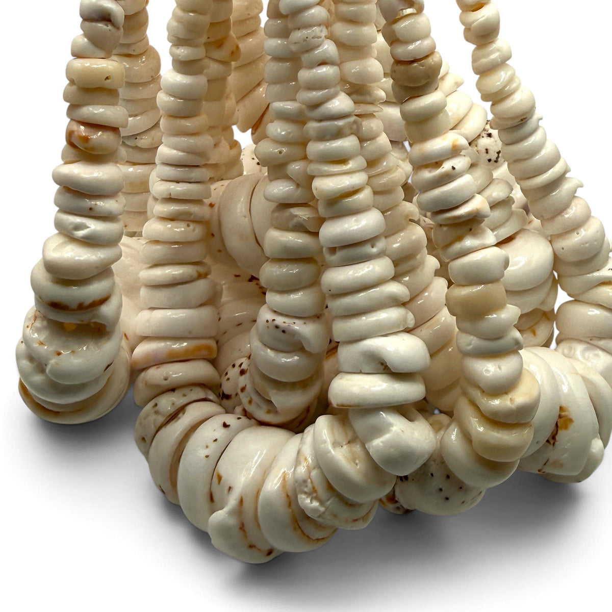 XL Graduated White Puka Shell- Premium Cup Shape- Minimal Bottom Cracks- Naturally Formed Holes- Small Batch Production- 6-30mm (E503)