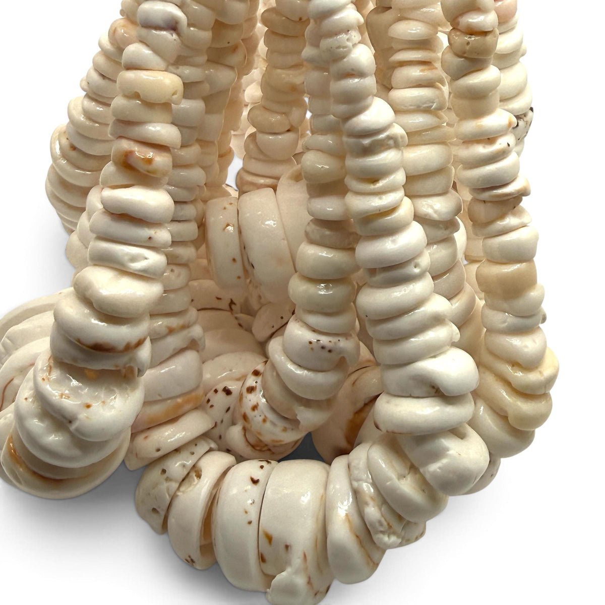 XL Graduated White Puka Shell- Premium Cup Shape- Minimal Bottom Cracks- Naturally Formed Holes- Small Batch Production- 6-30mm (E503)