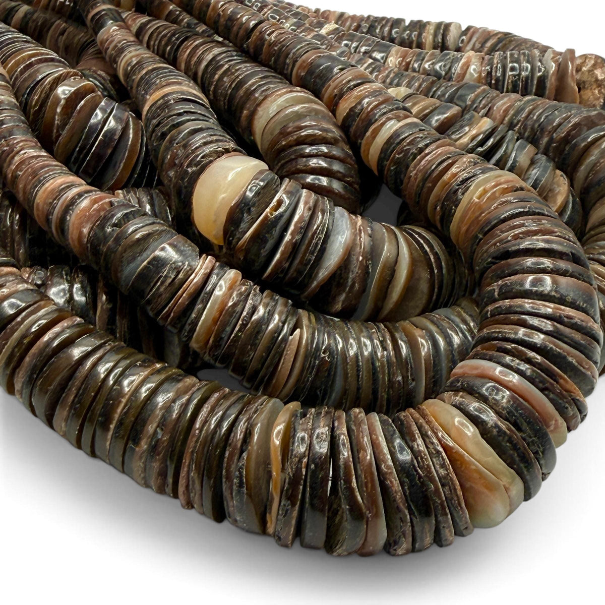 XL Graduated Brown Tahitian Pearl Shell - 100% Natural & Authentic - Never Dyed or Color Enhanced - Small Batch Production - Heishi 4-20mm