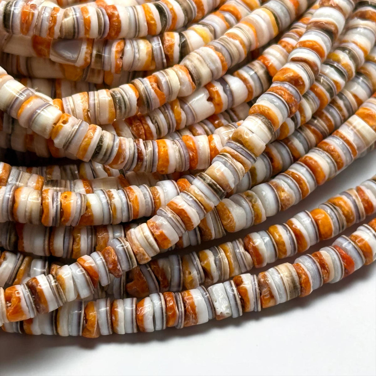 Spiny Oyster Shell & Tiger Cowrie Shell Mixed Beads - Never Dyed or Color Enhanced - Small Batch Production - Mens Jewelry Making - 5mm