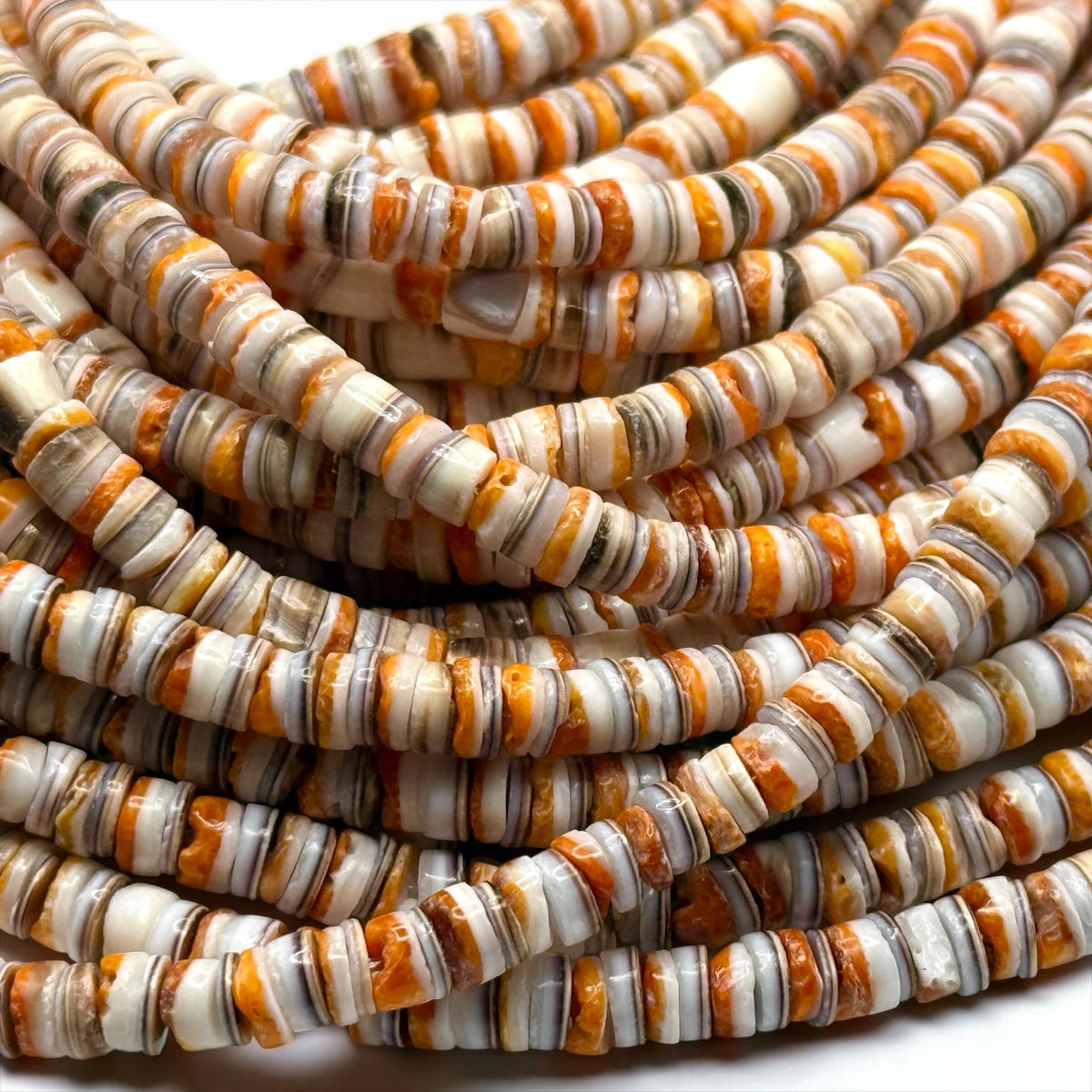 Spiny Oyster Shell & Tiger Cowrie Shell Mixed Beads - Never Dyed or Color Enhanced - Small Batch Production - Mens Jewelry Making - 5mm