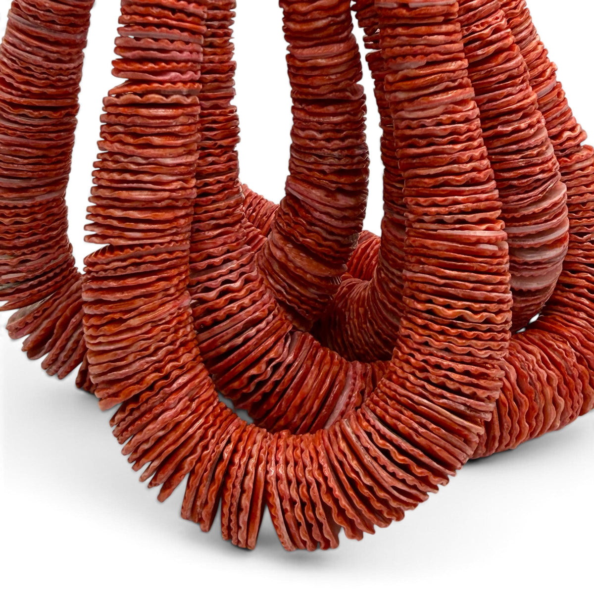 XL Graduated Red Scallop Shell Beads - Indo Pacific Region - Never Dyed or Color Enhanced - Small Batch Production - Heishi 4-20mm