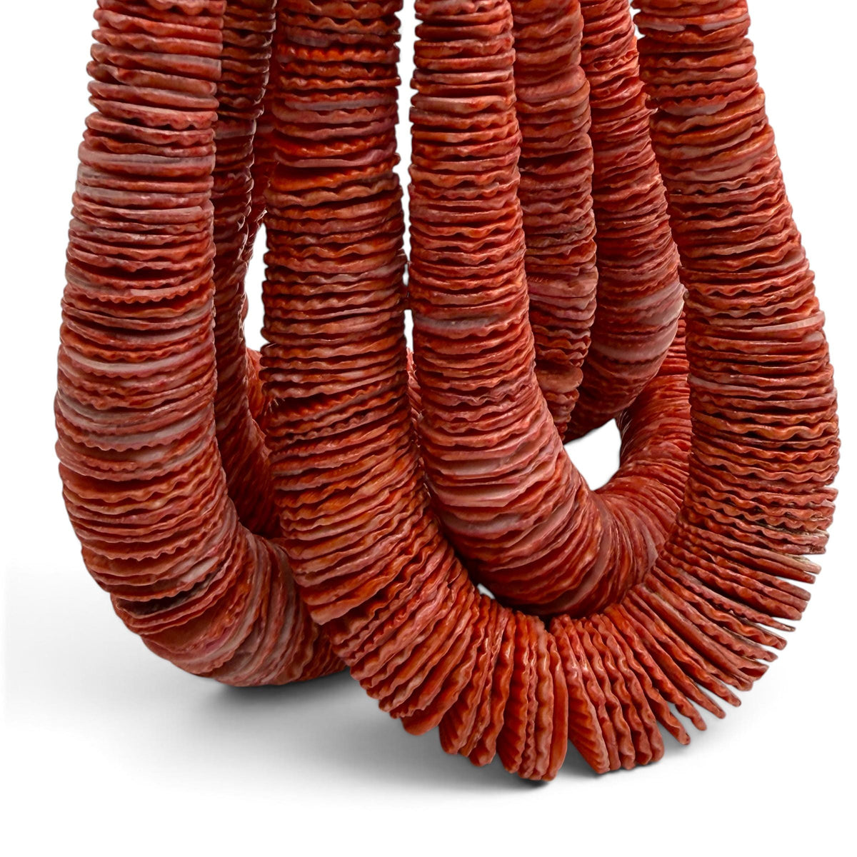 XL Graduated Red Scallop Shell Beads - Indo Pacific Region - Never Dyed or Color Enhanced - Small Batch Production - Heishi 4-20mm