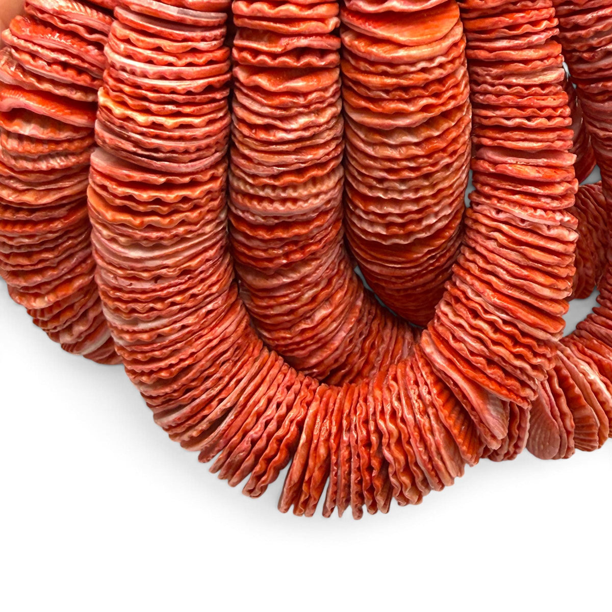 XL Graduated Red Scallop Shell Beads - Indo Pacific Region - Never Dyed or Color Enhanced - Small Batch Production - Heishi 4-20mm