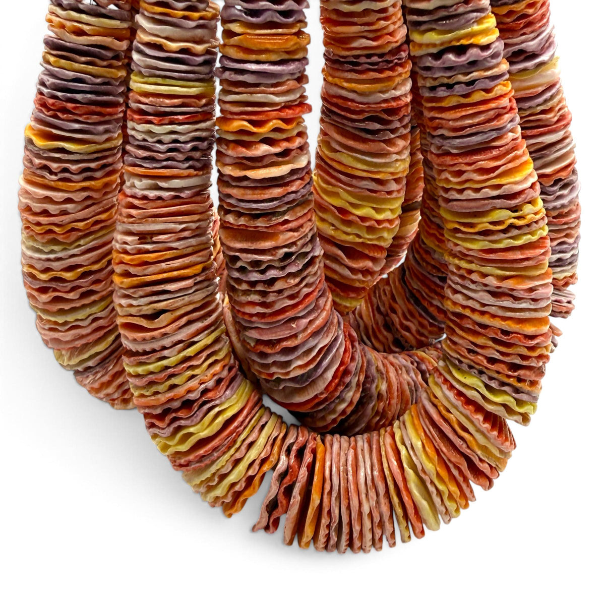 XL GRADUATED Rainbow Pectin Shell Beads Indo-Pacific - 100% Natural - Never Dyed or Color Enhanced - Small Batch Production - Heishi 4-20mm