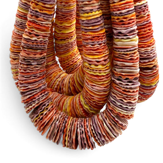 XL GRADUATED Rainbow Pectin Shell Beads Indo-Pacific - 100% Natural - Never Dyed or Color Enhanced - Small Batch Production - Heishi 4-20mm