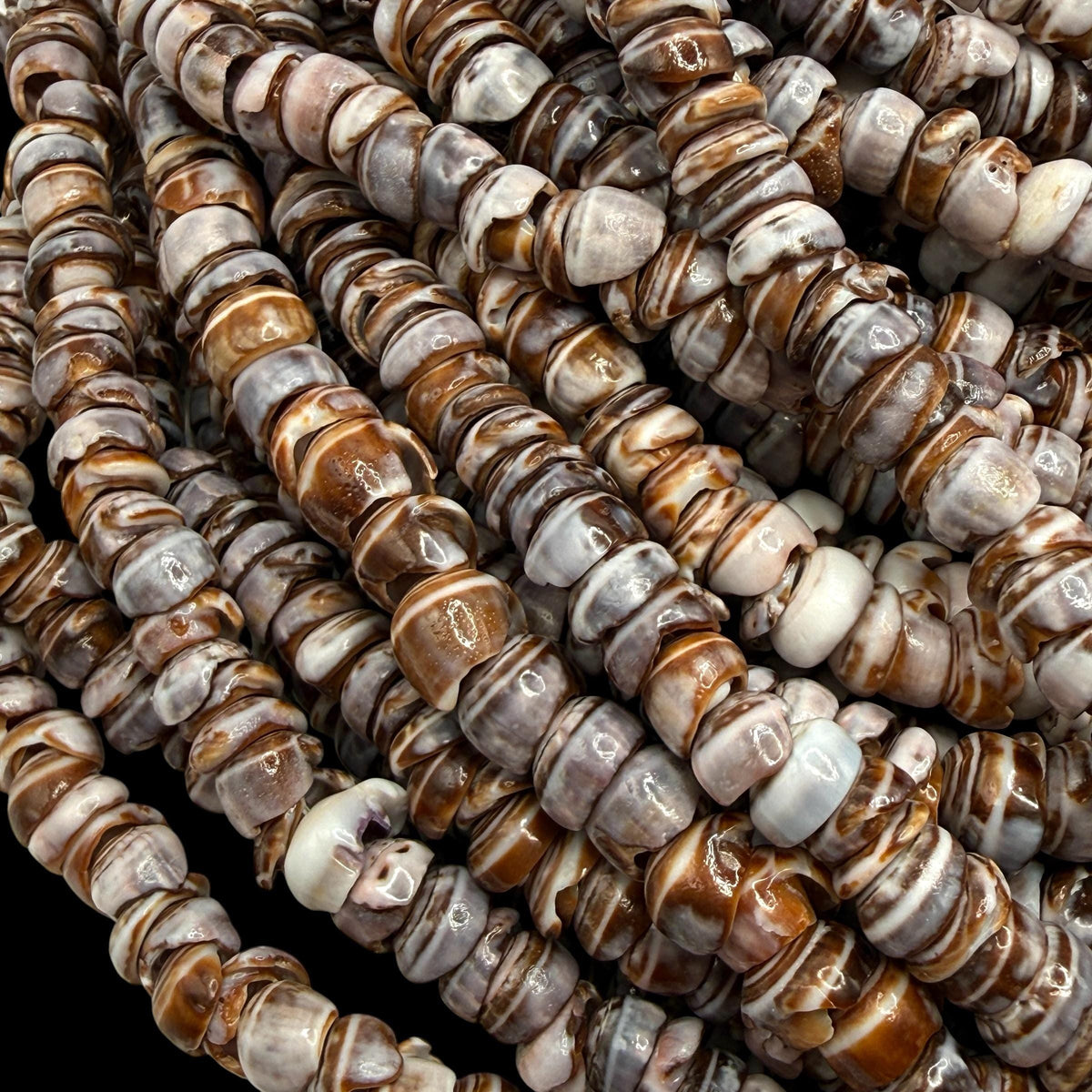 Smoky Violet PUKA Shell - Premium Cup Shape - Minimal Bottom Cracks - Naturally Formed Holes- Small Batch Production - Never Dyed or Treated