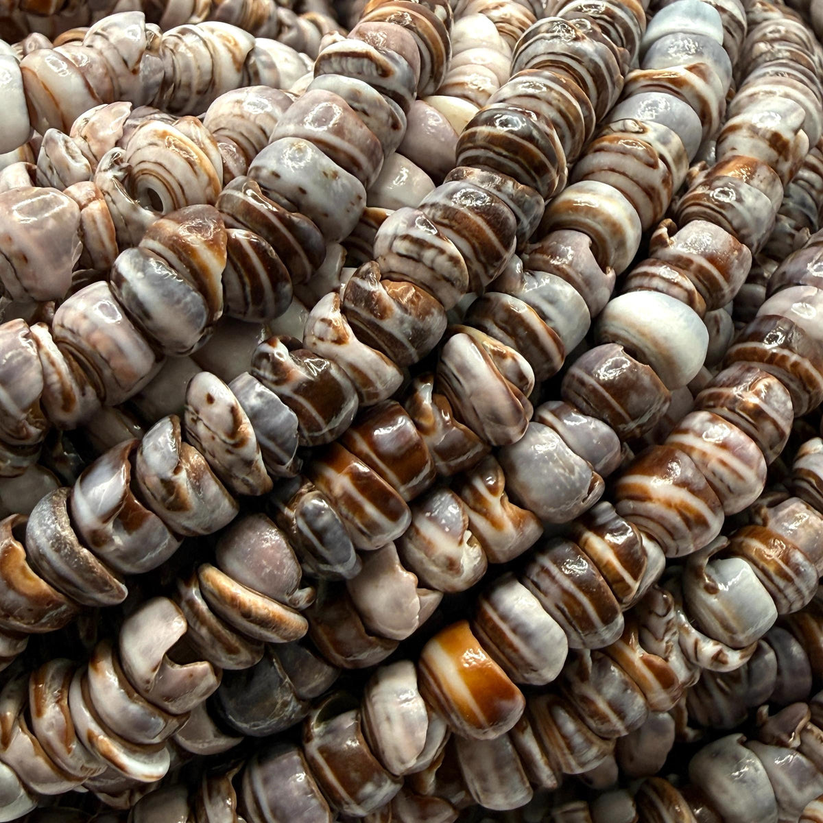 Smoky Violet PUKA Shell - Premium Cup Shape - Minimal Bottom Cracks - Naturally Formed Holes- Small Batch Production - Never Dyed or Treated