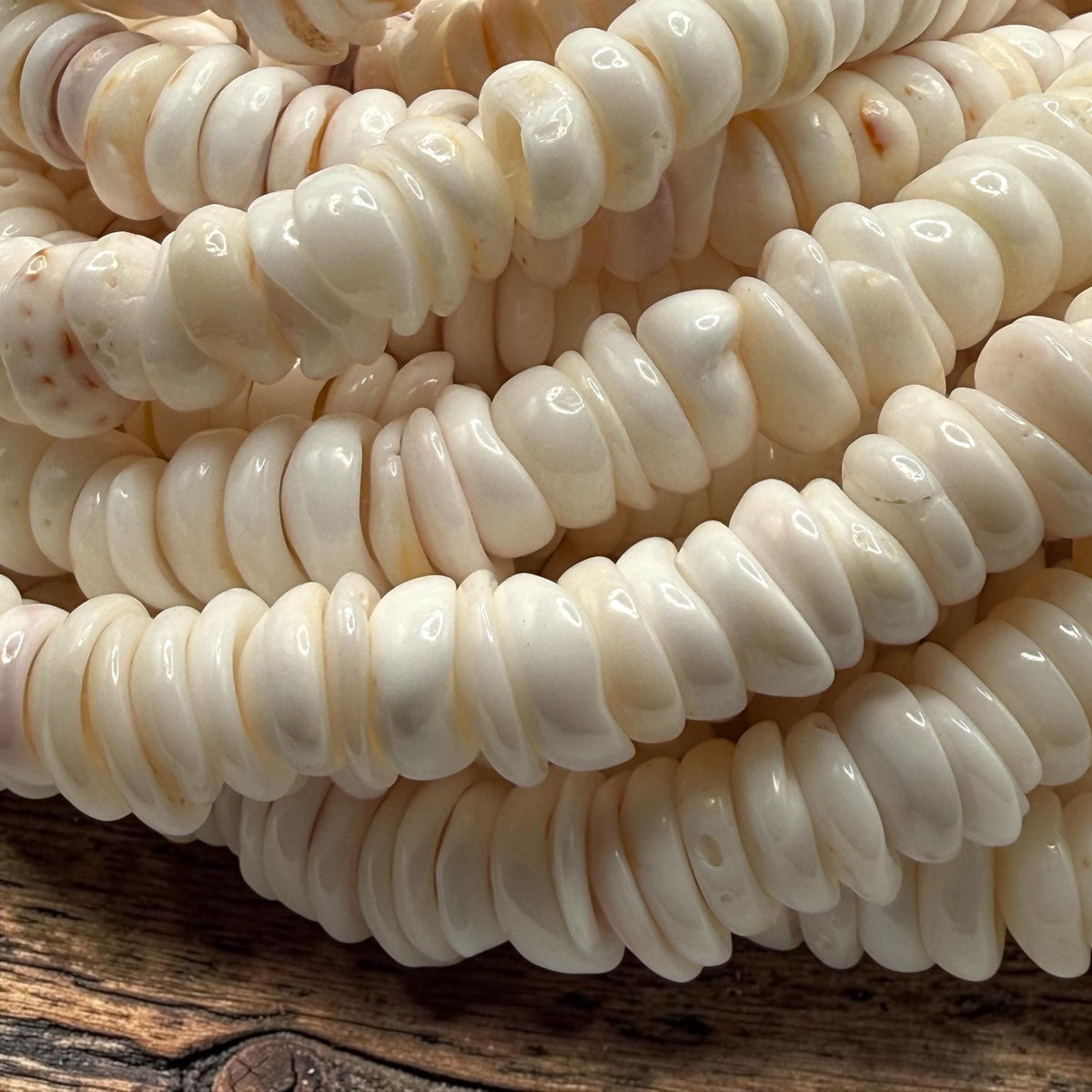 White PUKA Shell - Premium Cup Shape - Minimal Bottom Cracks - Naturally Formed Holes- Small Batch Production - Never Dyed or Color Enhanced