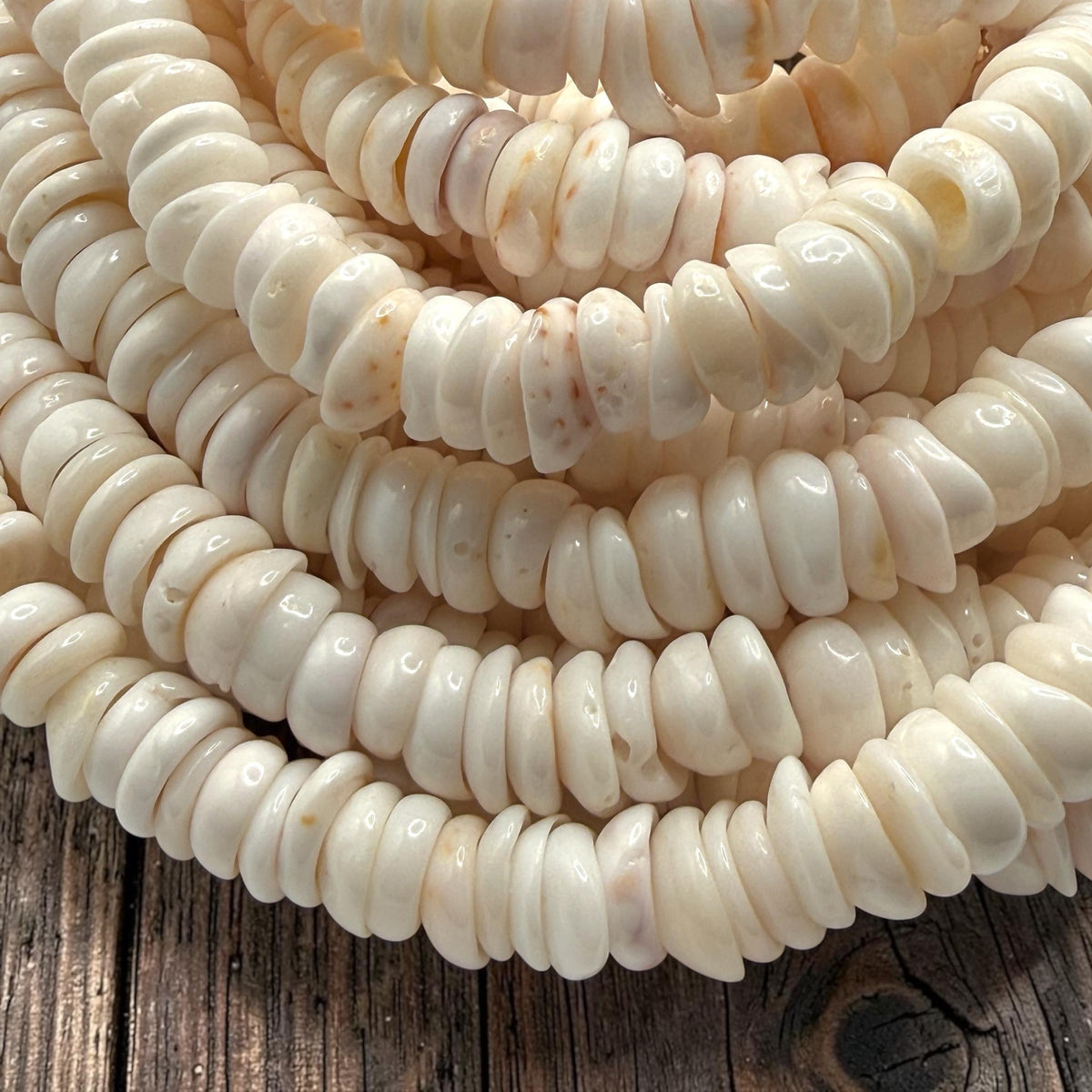 White PUKA Shell - Premium Cup Shape - Minimal Bottom Cracks - Naturally Formed Holes- Small Batch Production - Never Dyed or Color Enhanced