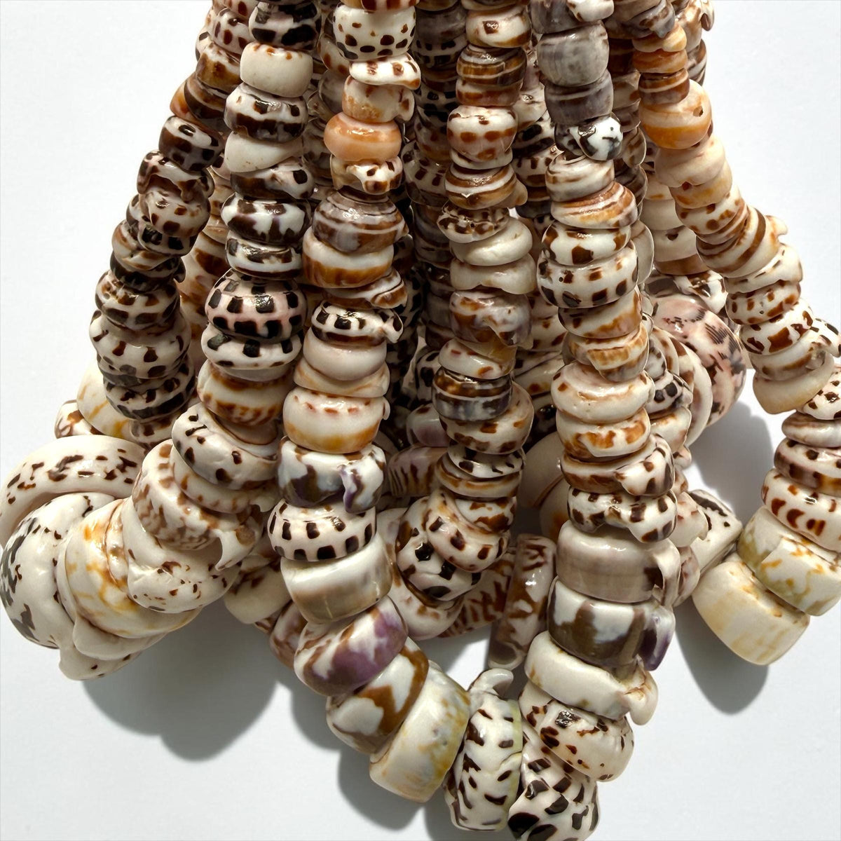 XL GRADUATED Tiger Ivory Puka Shell- Premium Cup Shape- Minimal Bottom Cracks- Naturally Formed Holes- Small Batch Production- 6-30mm (E501)