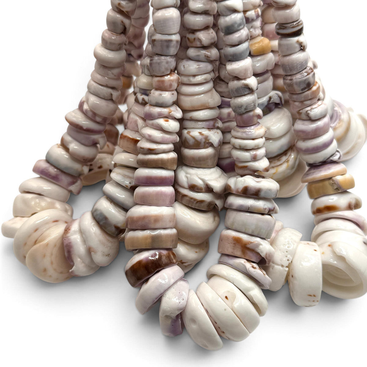 XL GRADUATED Ivory Lavender Puka Shell- Cup Shape with Minimal Bottom Cracks- Naturally Formed Holes- Small Batch Production- 6-30mm (E502)