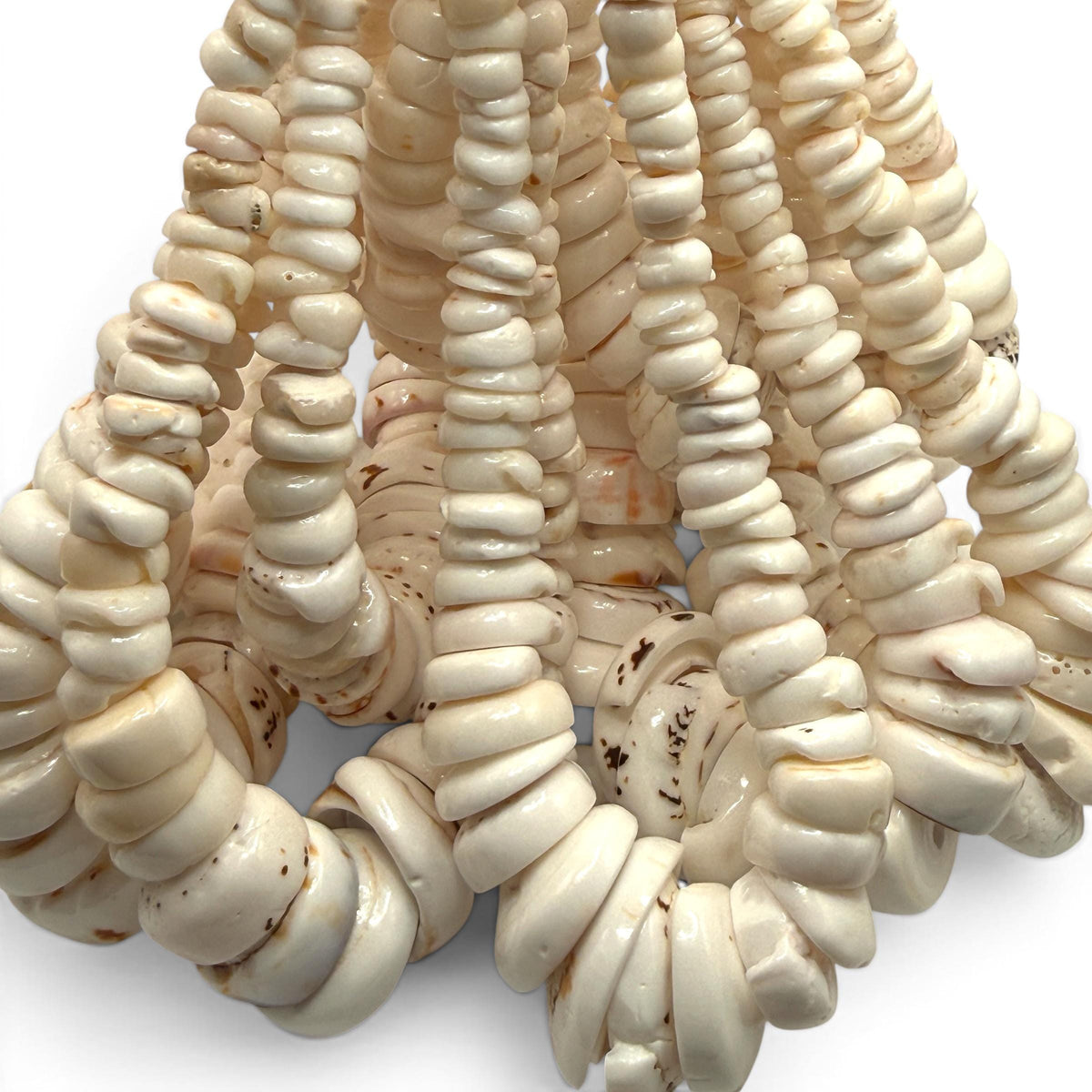 XL Graduated White Puka Shell- Premium Cup Shape- Minimal Bottom Cracks- Naturally Formed Holes- Small Batch Production- 6-30mm (E503)