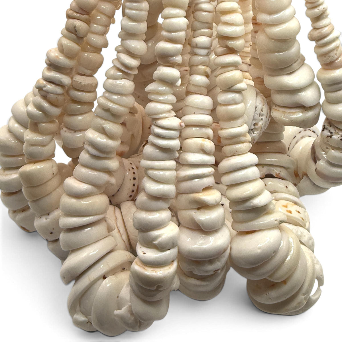 XL Graduated White Puka Shell- Premium Cup Shape- Minimal Bottom Cracks- Naturally Formed Holes- Small Batch Production- 6-30mm (E503)