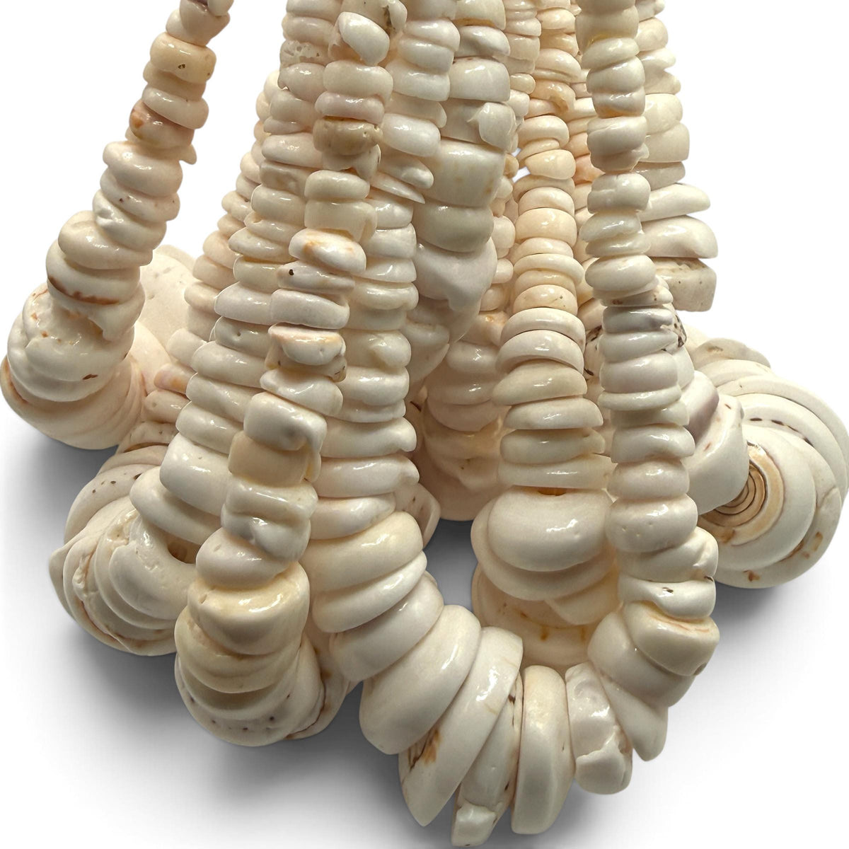 XL Graduated White Puka Shell- Premium Cup Shape- Minimal Bottom Cracks- Naturally Formed Holes- Small Batch Production- 6-30mm (E503)