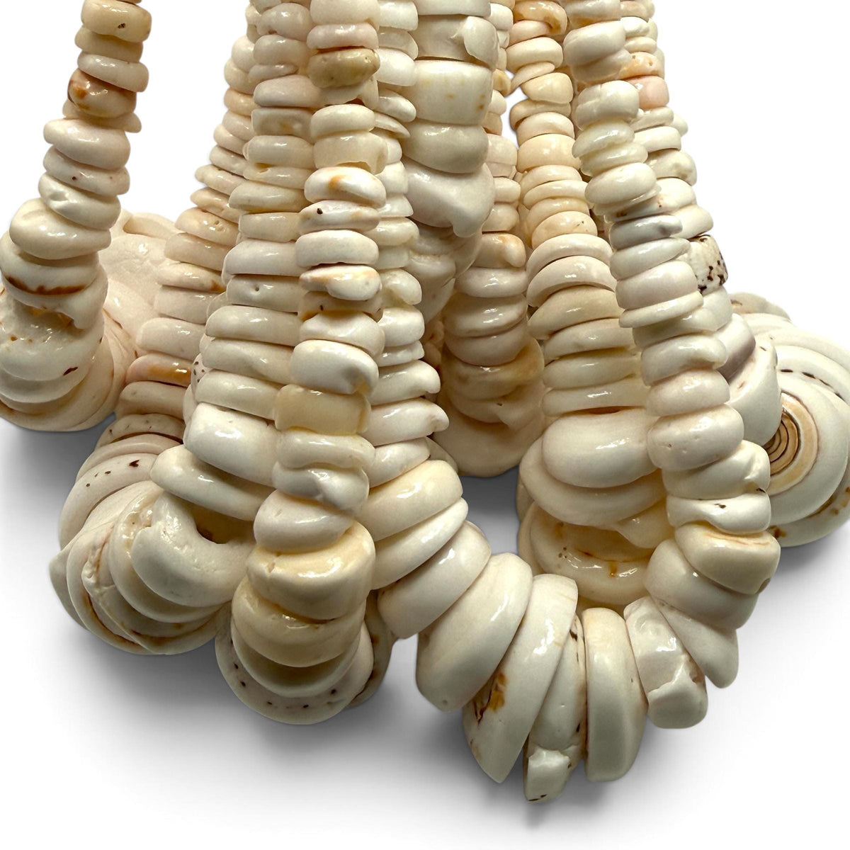 XL Graduated White Puka Shell- Premium Cup Shape- Minimal Bottom Cracks- Naturally Formed Holes- Small Batch Production- 6-30mm (E503)