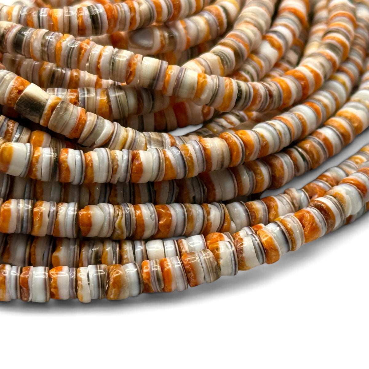 Spiny Oyster Shell & Tiger Cowrie Shell Mixed Beads - Never Dyed or Color Enhanced - Small Batch Production - Mens Jewelry Making - 5mm