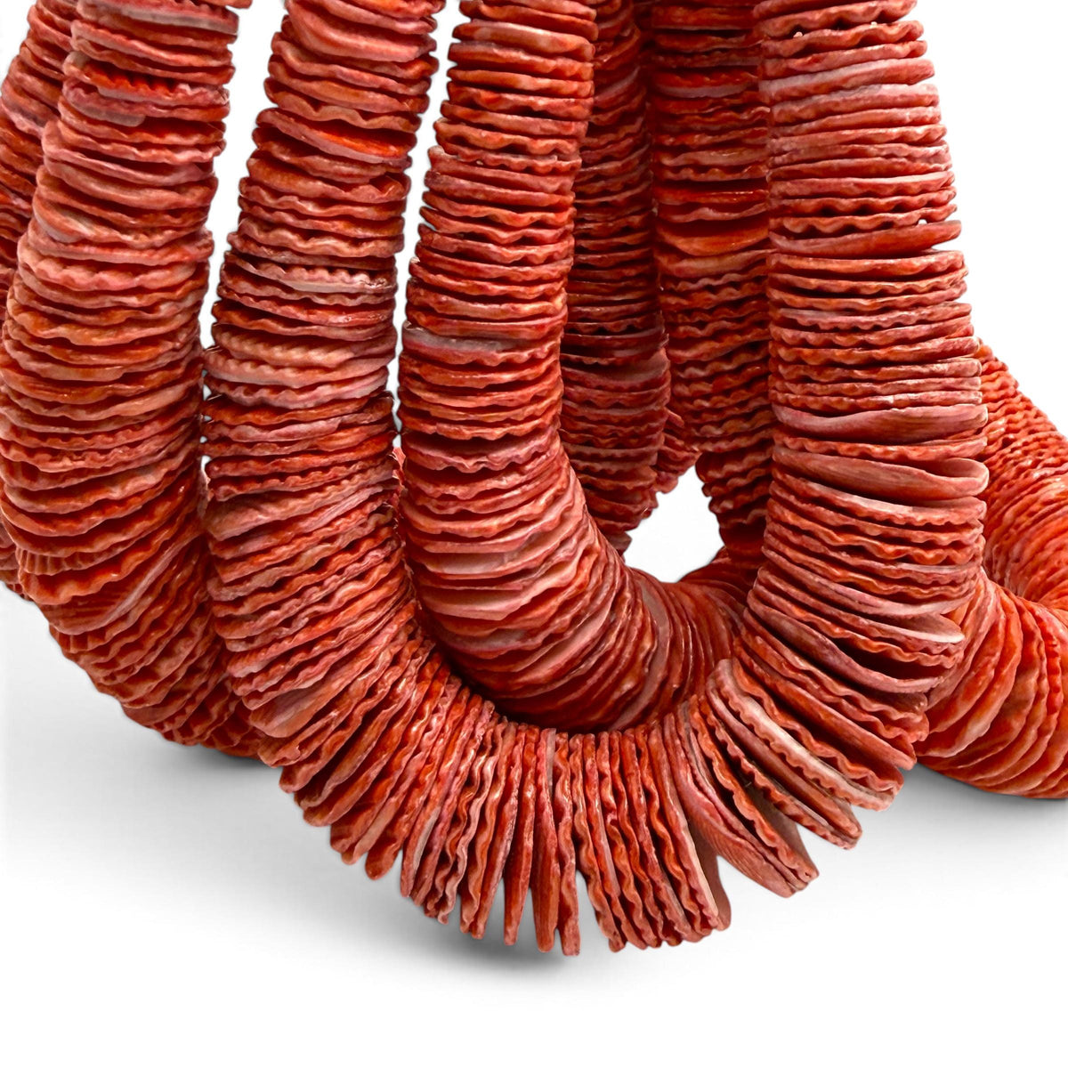 XL Graduated Red Scallop Shell Beads - Indo Pacific Region - Never Dyed or Color Enhanced - Small Batch Production - Heishi 4-20mm