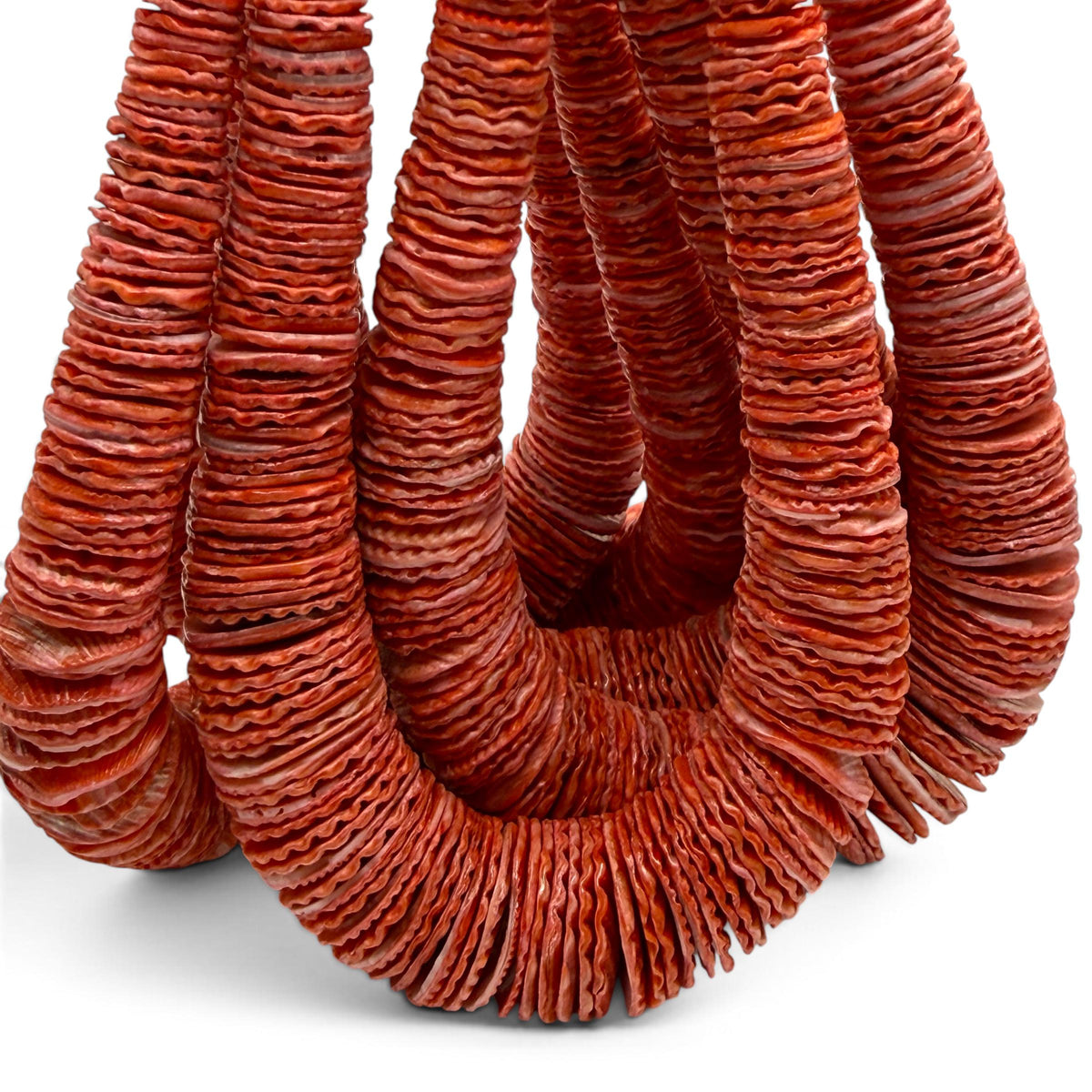 XL Graduated Red Scallop Shell Beads - Indo Pacific Region - Never Dyed or Color Enhanced - Small Batch Production - Heishi 4-20mm