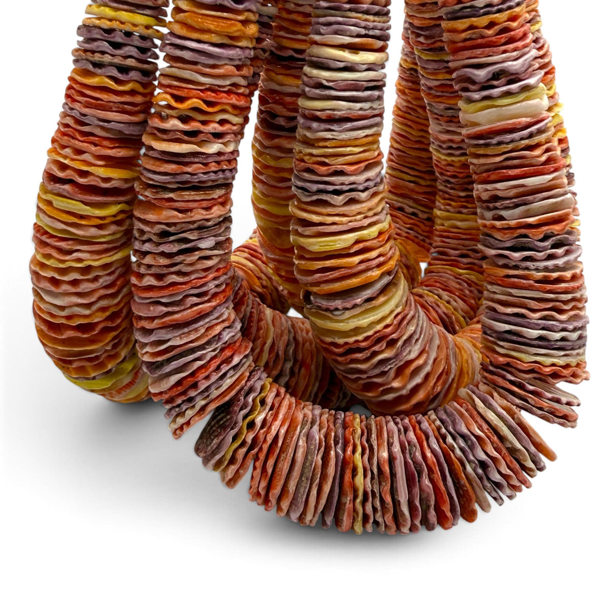 XL GRADUATED Rainbow Pectin Shell Beads Indo-Pacific - 100% Natural - Never Dyed or Color Enhanced - Small Batch Production - Heishi 4-20mm