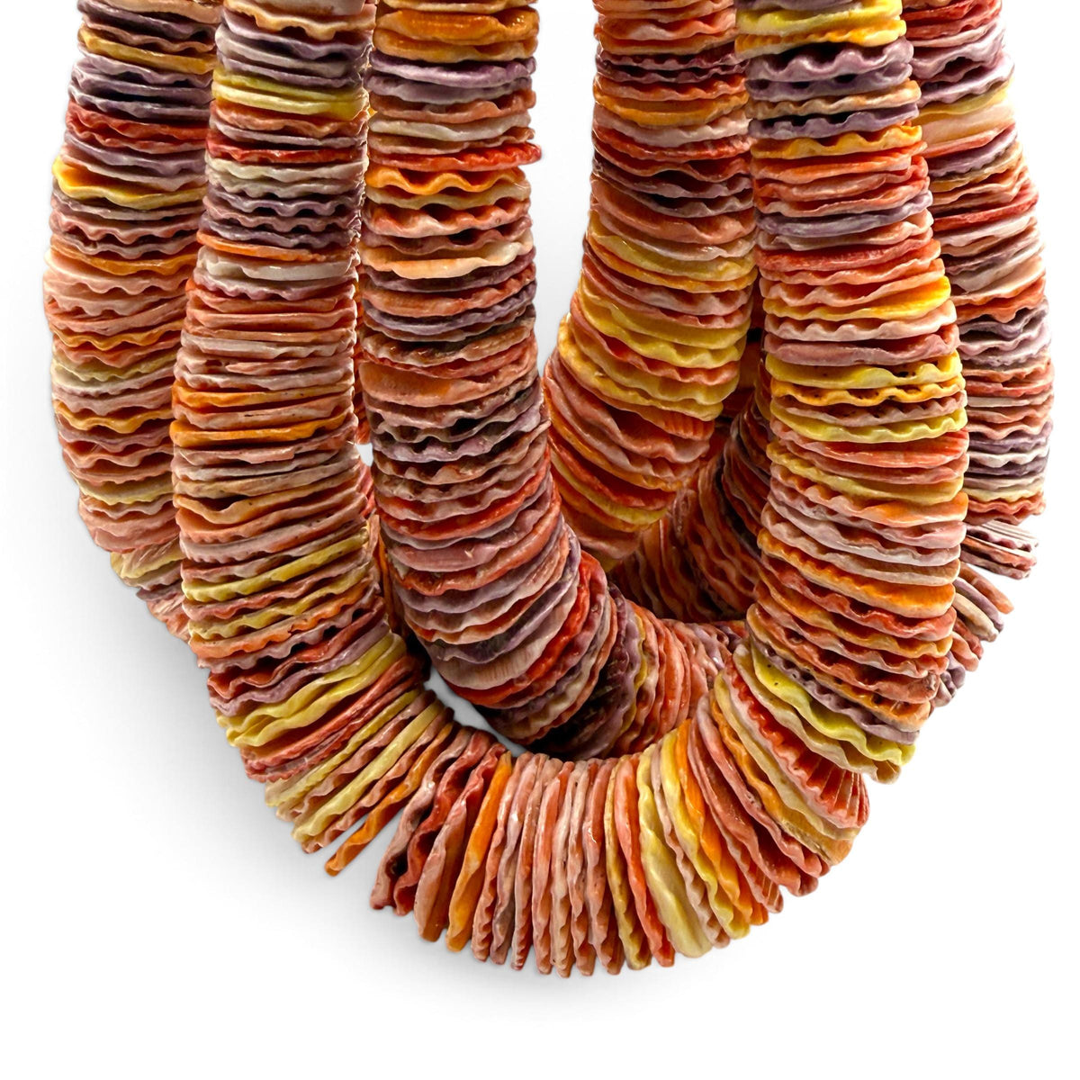 XL GRADUATED Rainbow Pectin Shell Beads Indo-Pacific - 100% Natural - Never Dyed or Color Enhanced - Small Batch Production - Heishi 4-20mm