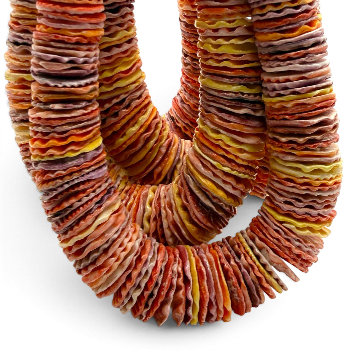 XL GRADUATED Rainbow Pectin Shell Beads Indo-Pacific - 100% Natural - Never Dyed or Color Enhanced - Small Batch Production - Heishi 4-20mm