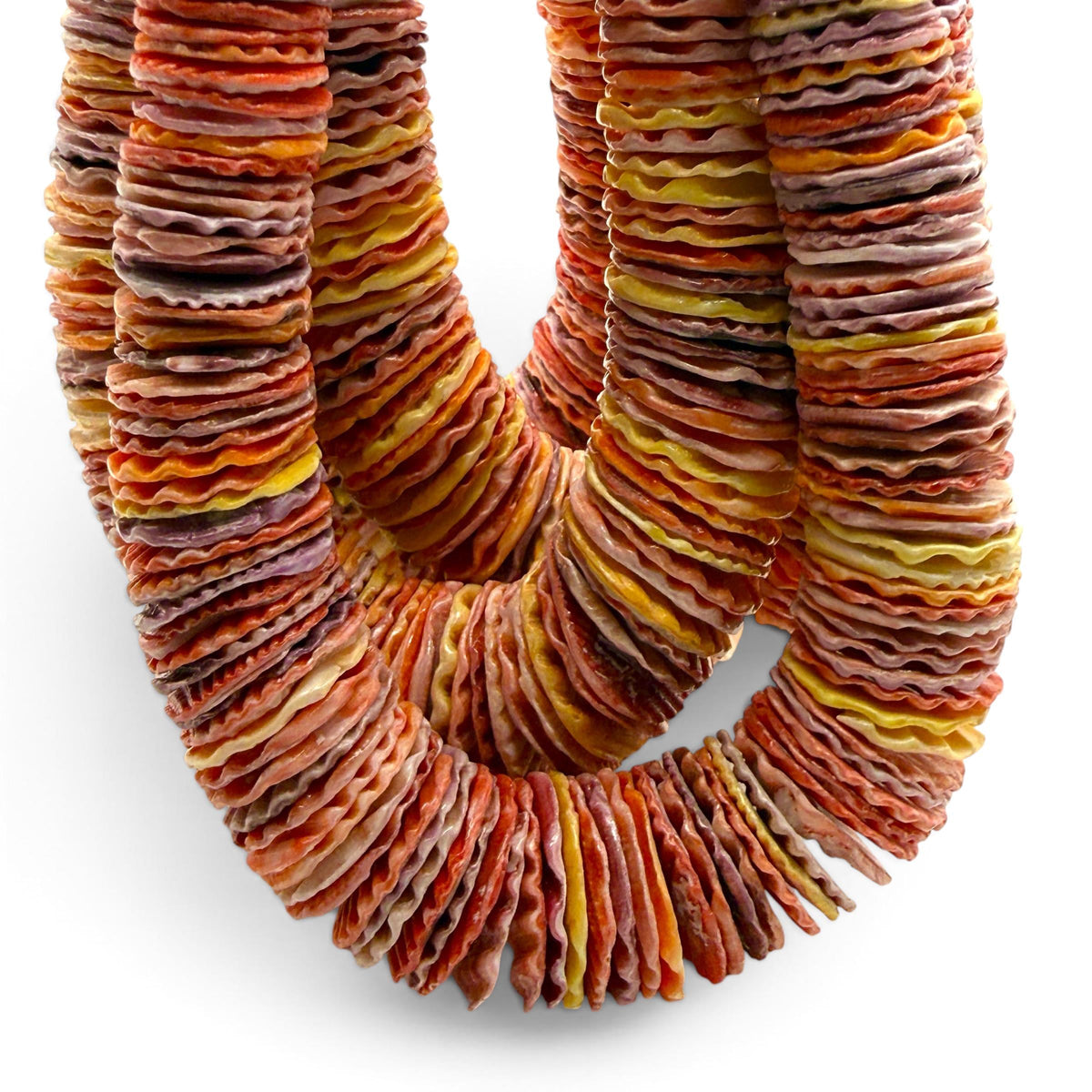 XL GRADUATED Rainbow Pectin Shell Beads Indo-Pacific - 100% Natural - Never Dyed or Color Enhanced - Small Batch Production - Heishi 4-20mm