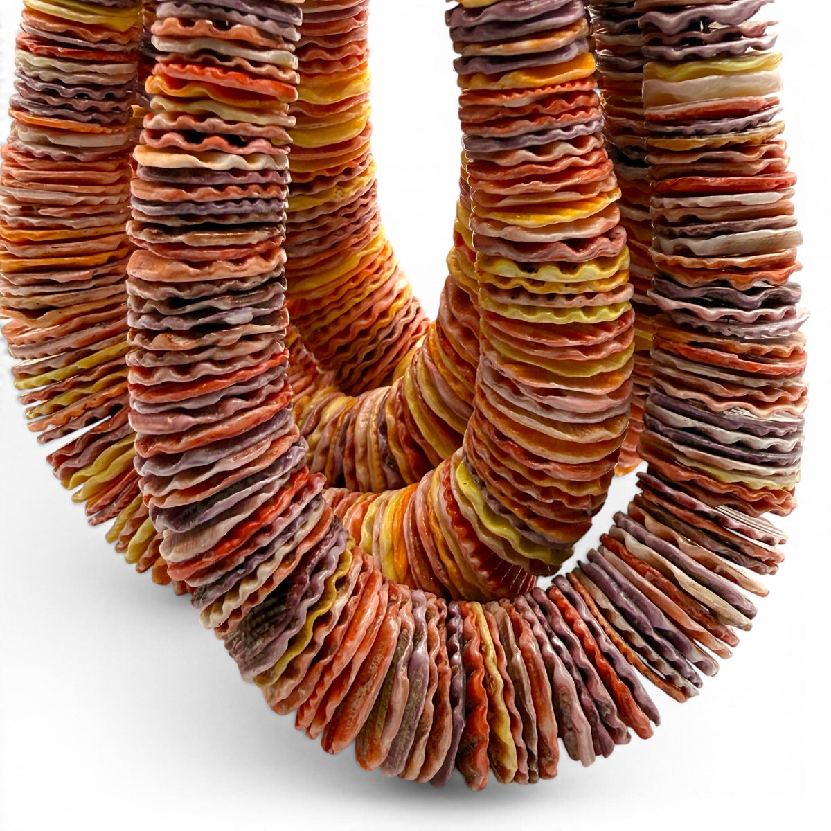 XL GRADUATED Rainbow Pectin Shell Beads Indo-Pacific - 100% Natural - Never Dyed or Color Enhanced - Small Batch Production - Heishi 4-20mm