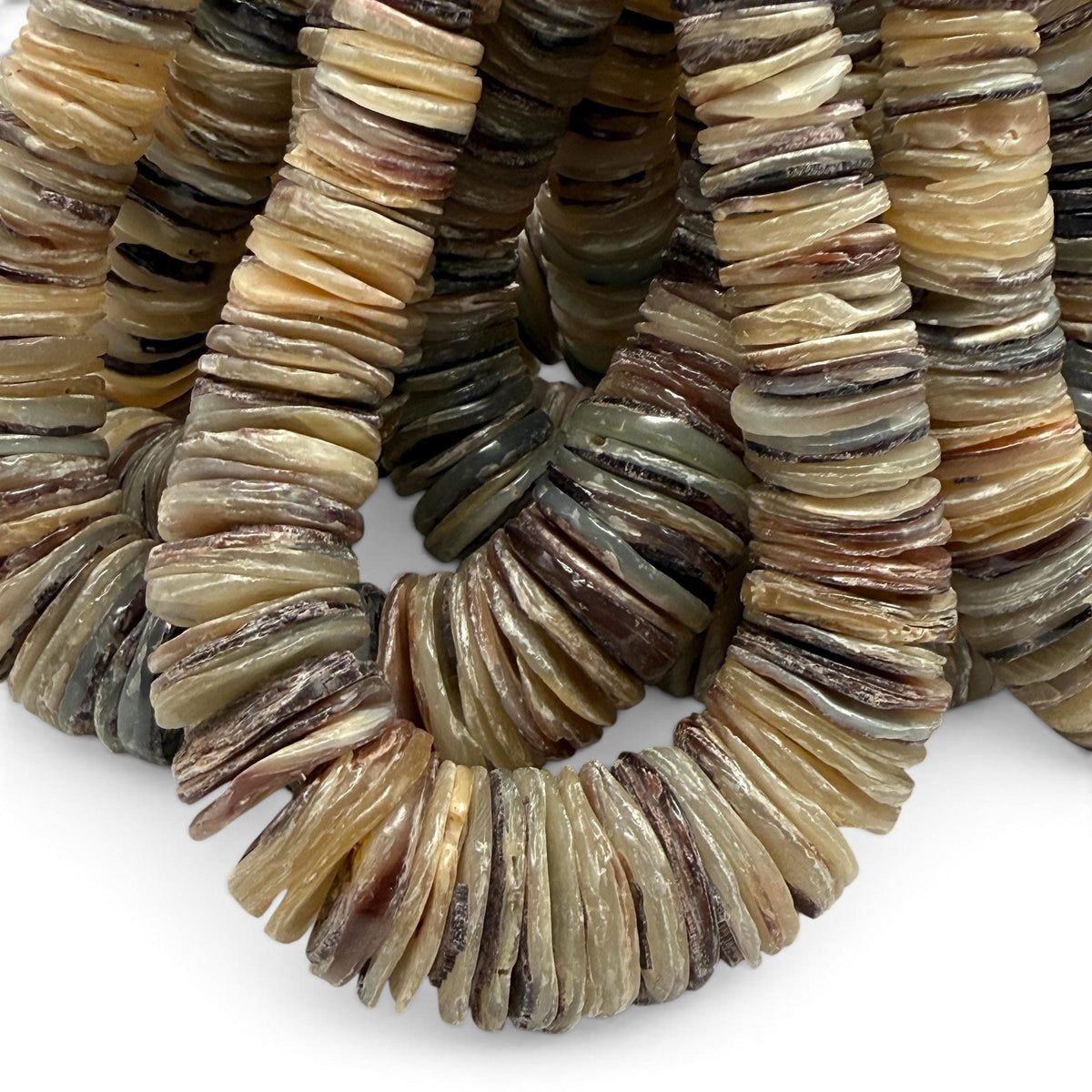 XL GRADUATED Peacock Hammer Shell Beads Indo-Pacific - 100% Natural - Never Dyed or Color Enhanced - Small Batch Production - Heishi 4-20mm