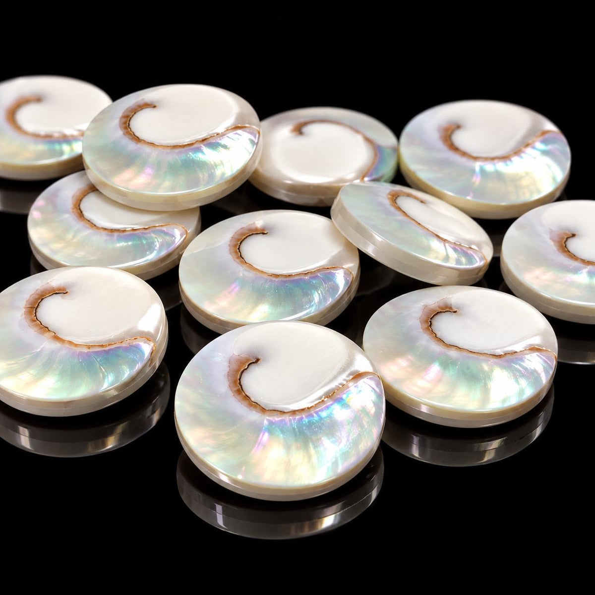 WOW Mermaid Nautilus Shell Beads AAA (Harmony Line) Thick Nacre & Iridescent Flash - Never Dyed or Color Enhanced - Center Drilled Coin
