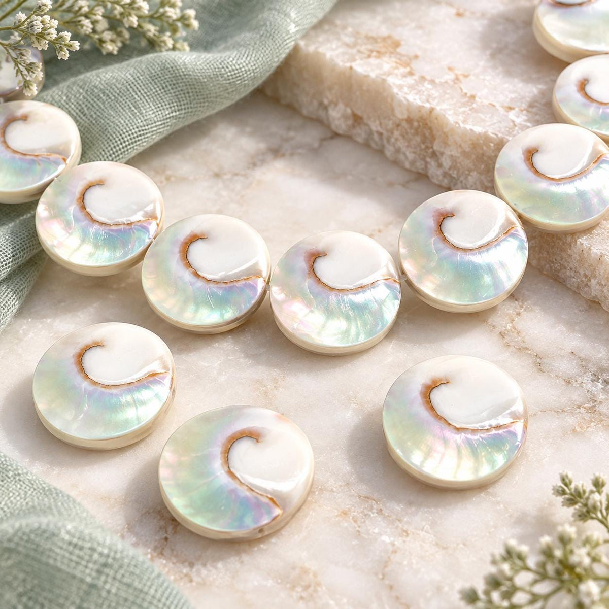 WOW Mermaid Nautilus Shell Beads AAA (Harmony Line) Thick Nacre & Iridescent Flash - Never Dyed or Color Enhanced - Center Drilled Coin