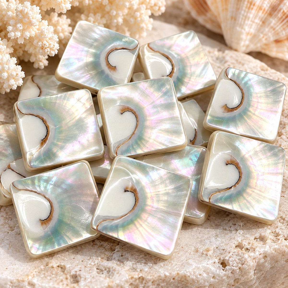 WOW Mermaid Nautilus Shell Beads AAA (Harmony Line) Thick Nacre & Iridescent Flash - Never Dyed or Color Enhanced - Center Drilled Square