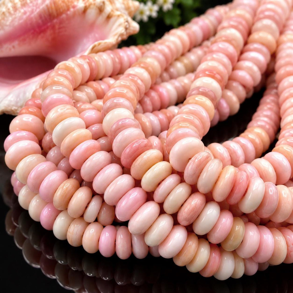 Multiple Shades Queen Conch Shell Beads Bahamas AAA (Cut From Different Part of Shell) Natural Organic-Thickness Smooth Irregular Freeform