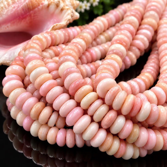 Multiple Shades Queen Conch Shell Beads Bahamas AAA (Cut From Different Part of Shell) Natural Organic-Thickness Smooth Irregular Freeform