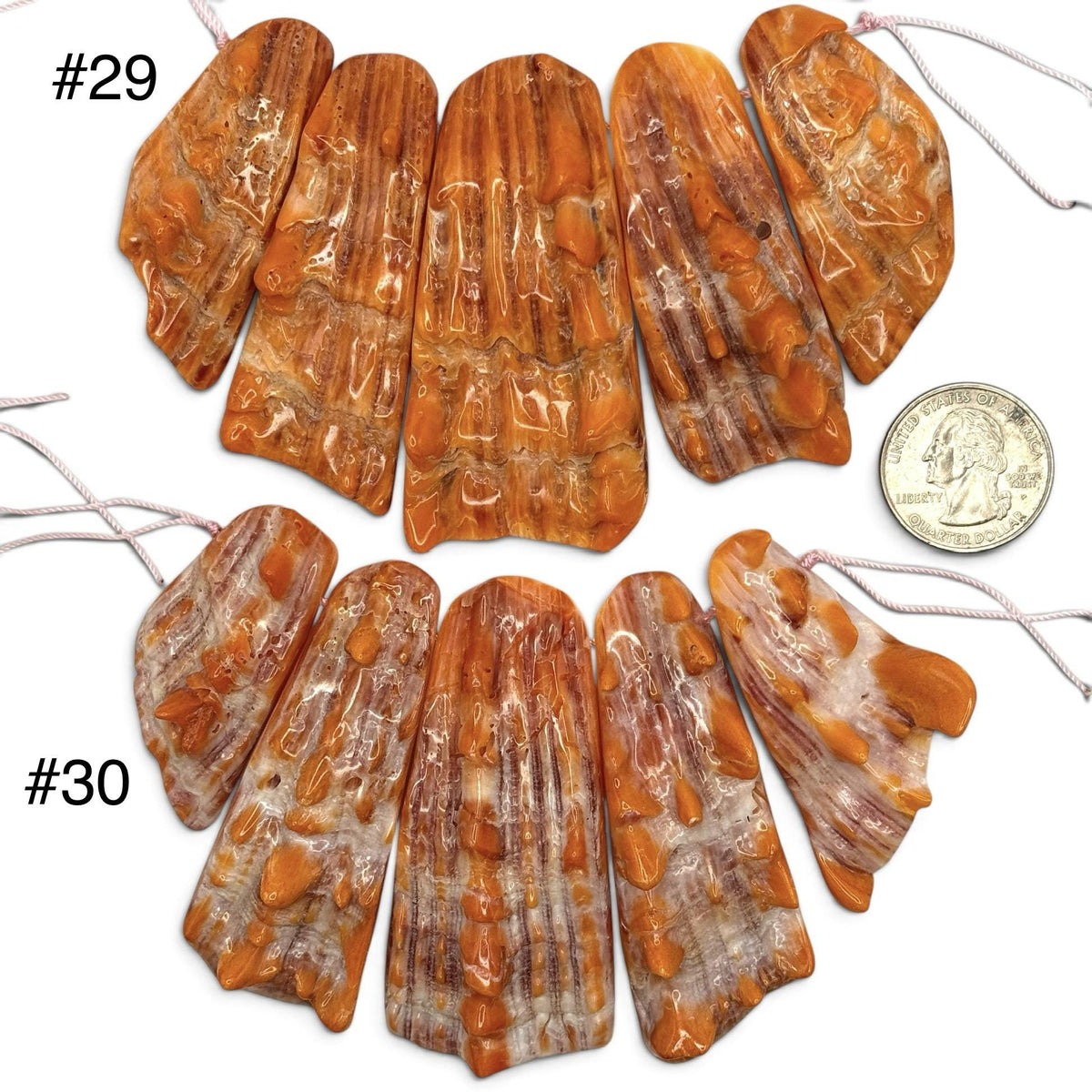 Bundle-5 Pcs Spiny Oyster Shell Beads Pendant Mexico (Cut From One Single Gigantic Shell) One-of-a-Kind Freeform Top-Drilled (D101)