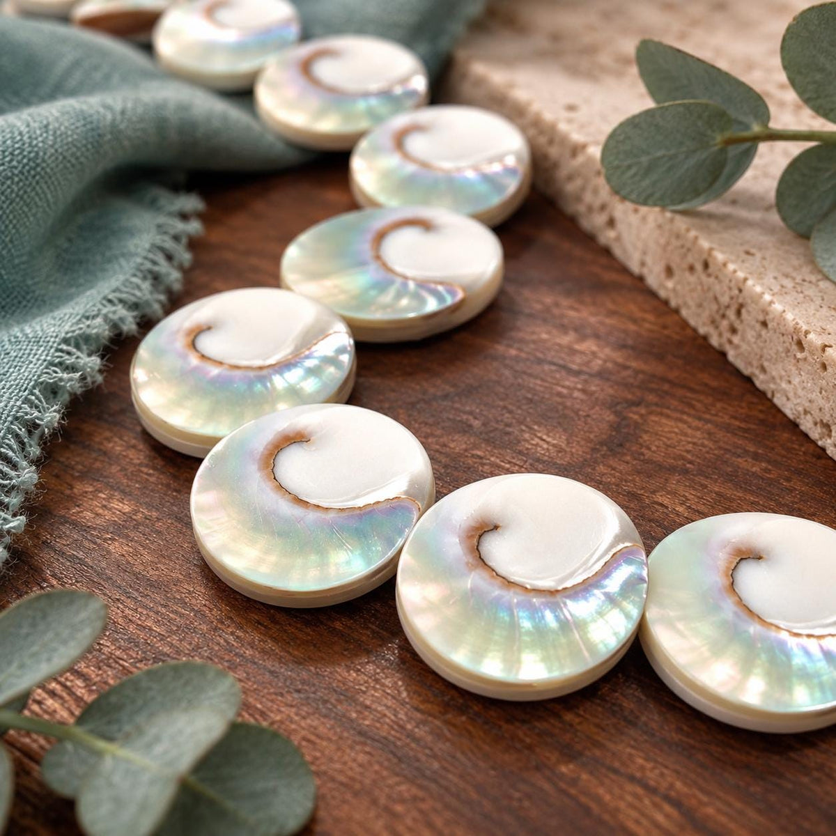 WOW Mermaid Nautilus Shell Beads AAA (Harmony Line) Thick Nacre & Iridescent Flash - Never Dyed or Color Enhanced - Center Drilled Coin
