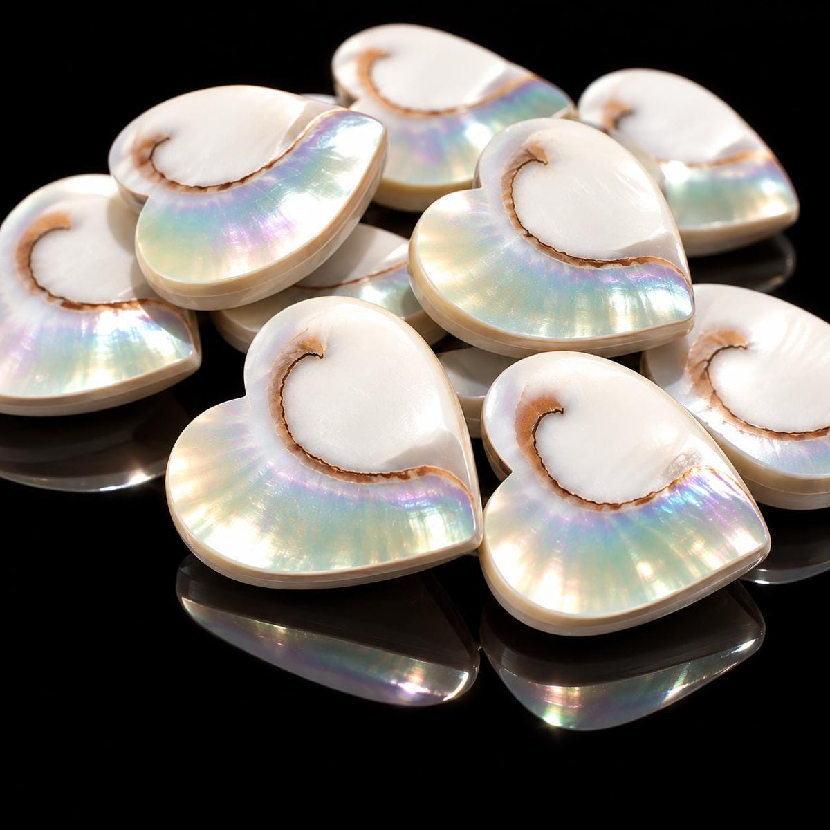 WOW Mermaid Nautilus Shell Beads AAA (Harmony Line) Thick Nacre & Iridescent Flash - Never Dyed or Color Enhanced - Center Drilled Heart