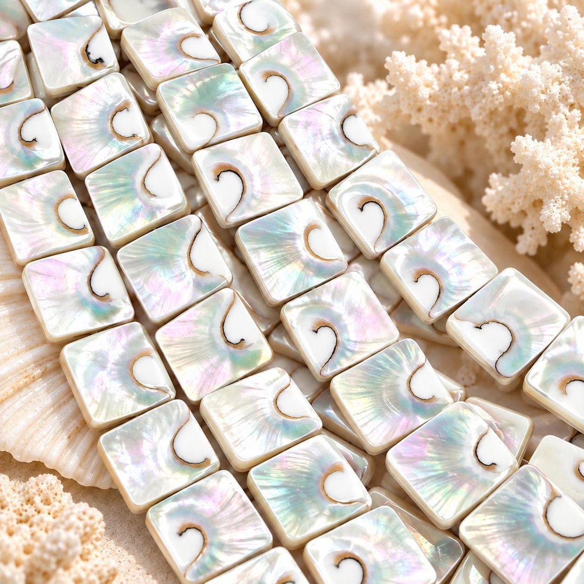 WOW Mermaid Nautilus Shell Beads AAA (Harmony Line) Thick Nacre & Iridescent Flash - Never Dyed or Color Enhanced - Center Drilled Square